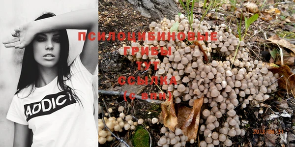 прущие крисы Балабаново